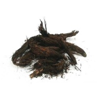  سنبل الطیب شلیرا - 75 گرم6333d53cb1c4c331060